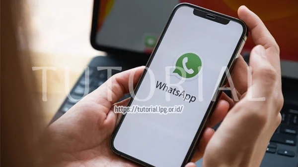 Fitur Terbaru WhatsApp yang Baru Diluncurkan di Indonesia
