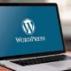 Nggak Mau Ribet Login WordPress, Coba Cara Praktis Tanpa Password Ini!
